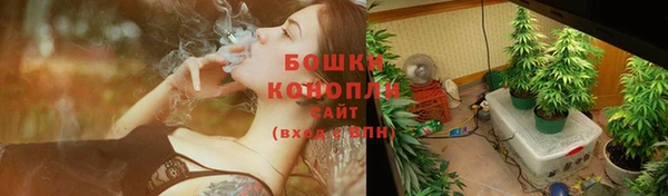спиды Рославль