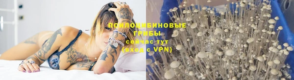 spice Пролетарск