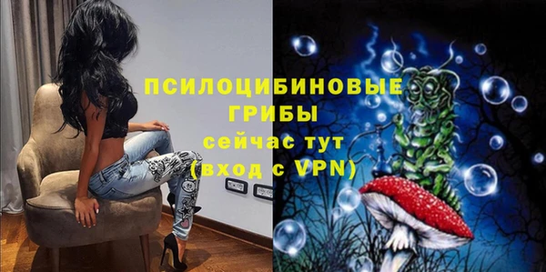 спайс Приозерск