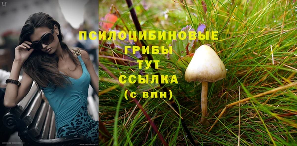 прущая мука Протвино