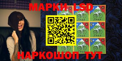 стаф Славгород