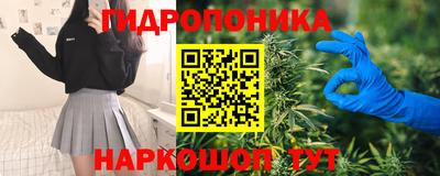 стаф Славгород