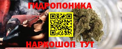 стаф Славгород