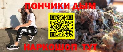дмт Сланцы