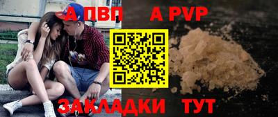стаф Славгород