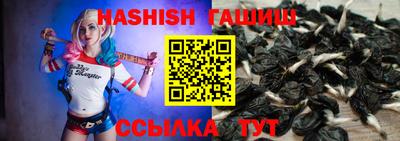 стаф Славгород