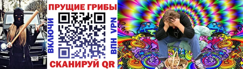 blacksprut вход цены Удомля Псилоцибиновые грибы Cubensis
