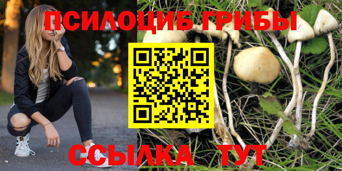 Галлюциногенные грибы ЛСД  Вход с VPN  Удомля  Галлюциногенные грибы прущие грибы 