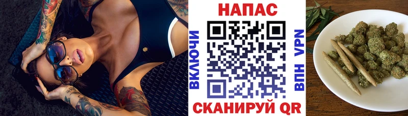Каннабис SATIVA & INDICA Удомля